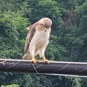 Meet your Posher, Nathan